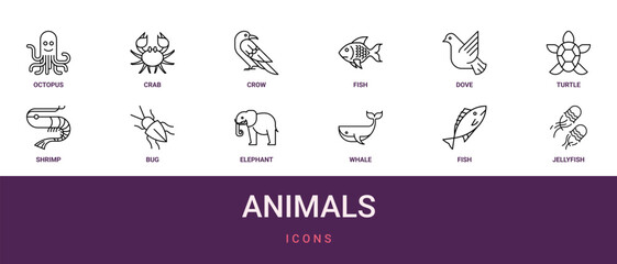 Fototapeta premium Set of 12 outline web Animals icons such as jellyfish, fish, whale, elephant, bug, Shrimp, turtle vector icons for report, presentation, diagram, web design, mobile app