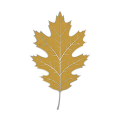 Fototapeta premium Stylized Golden Oak Leaf Illustration Isolated on Black Background