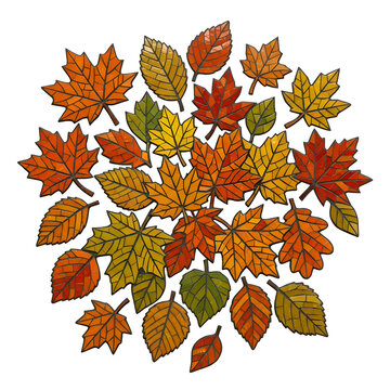 Colorful Stained Glass Mosaic Autumn Leaves on Black