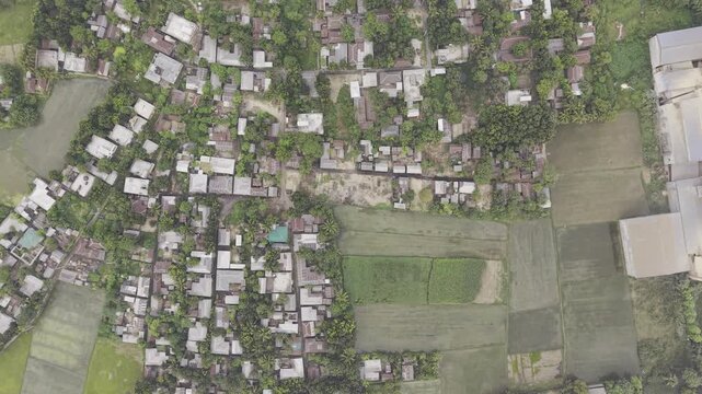 Aerial view of a village settlement surrounded by farmland and vegetation in Kushtia, Bangladesh, highlighting the rural landscape and agricultural environment.