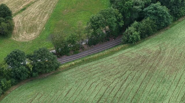 Regionalbahn im Wald