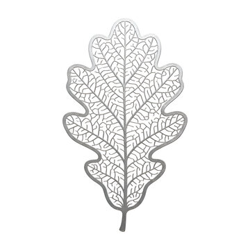 Luxury Silver Metallic Oak Leaf Skeleton Isolated on Black Background