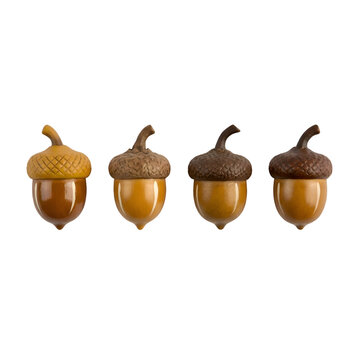 Set of four glossy stylized acorns isolated on black background
