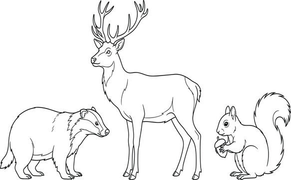 Cute wild animals coloring page vector with a deer badger and squirrel outline