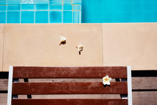 Plumeria blossoms rest on a sun-warmed wooden poolside chair beside turquoise tiled water, conveying tropical summer relaxation, quiet moments and a minimalist outdoor resort atmosphere.