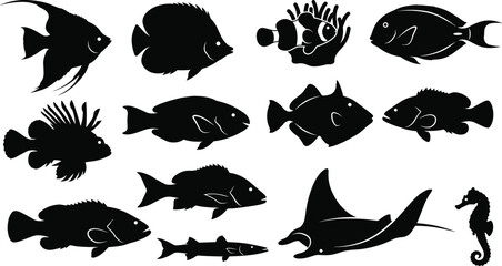 Collection of marine life and tropical fish silhouettes for aquarium and diving logo design © Lalchan