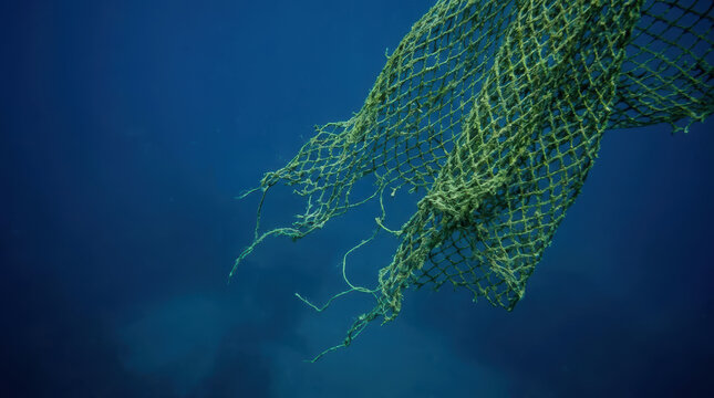 Discarded fishing net underwater highlights ocean conservation efforts to protect marine biodiversity and preserve aquatic ecosystems for future