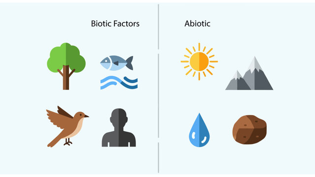 Educational Ecosystem Infographic comparing biotic and abiotic factors with flat icons, ideal for biology lessons and environmental science presentations.