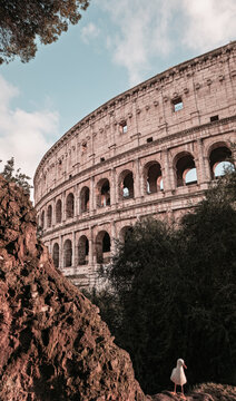 Colosseum, an iconic Roman amphitheater and UNESCO World Heritage site, standing as a symbol of historical architecture and ancient civilization in a unique perspective with a visiting seagull