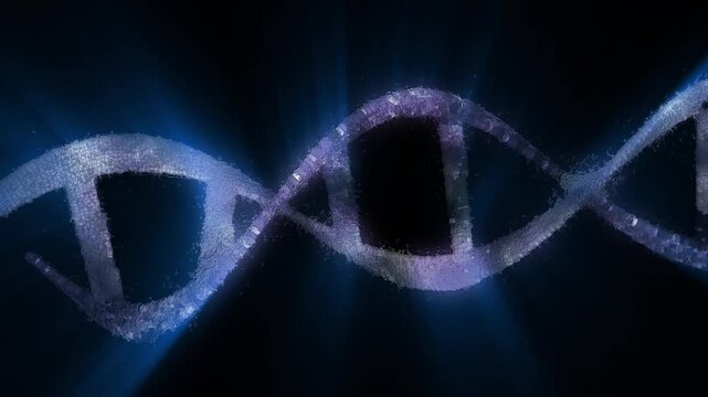 The DNA chain rotates in a helix.This video make a perfect concept for human DNA, microbiology, RNA protein, pharmaceutical health, genetics, stem cell research, healthcare, or the human genome.
