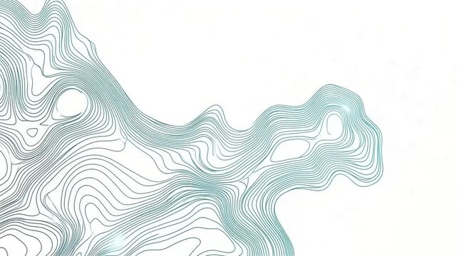 Abstract flowing teal and black contour lines on white, resembling a topographic map, perfect for modern tech.