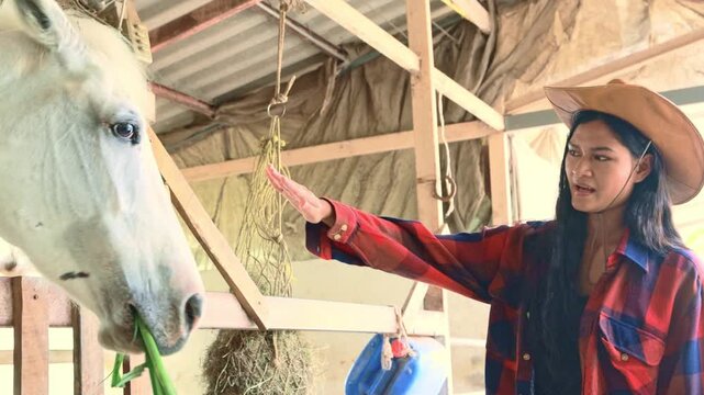 Asian woman meticulously feeds horses fresh grass inside stable ensuring their health and well being reflects the lifestyle professional equine caretaker beautiful bond between humans and animals.