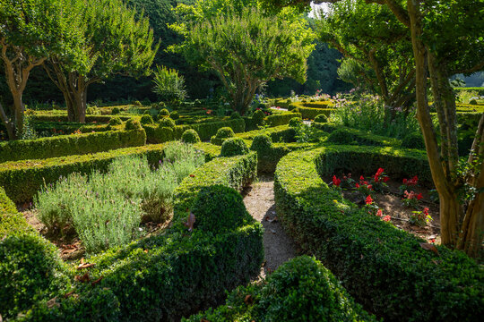 Gardens with ornamental hedges at the Mateus Palace in Vila Real, Portugal, on a sunny day.
