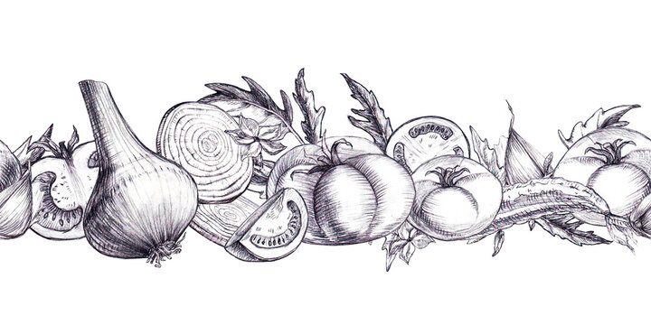 Seamless Border with tomatoes, garlic, onion, cucumber leaf hand drawn graphite pencil sketch. Culinary graphic element ideal for recipe page borders, fresh produce packaging, kitchen textiles or menu