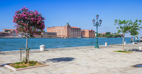 Blooming tree at the Zattere waterfront promenade overlooking the Giudecca canal in Venice, Italy © venemama