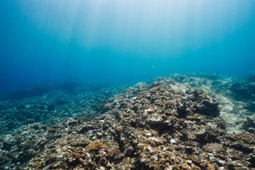Underwater View of Sun Rays Illuminating a Tropical Coral Reef © Satoshi
