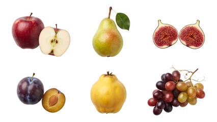 Obraz premium six autumn fruits with apple, pear, fig, plum, quince and grapes