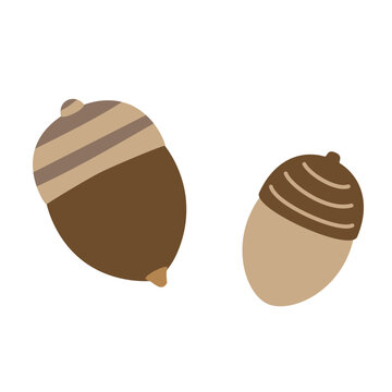 シンプルな二つのドングリのイラスト