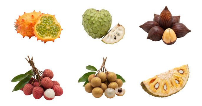 six exotic fruits with kiwano, cherimoya, salak, lychee, longan and jackfruit