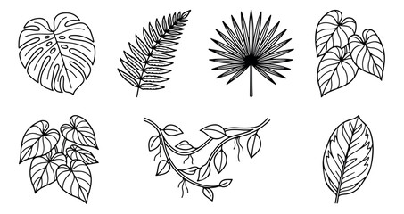 Tropical leaf line art collection, black and white monstera and palm frond vector set, minimalist jungle foliage illustrations for logo design © Rehman