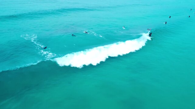 白波が綺麗で波にのるサーファーを早朝に空撮 4K