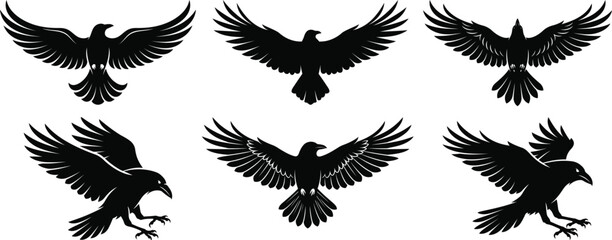 Naklejka premium A collection of black silhouette illustrations featuring various ravens and crows in flight poses isolated on a plain white background