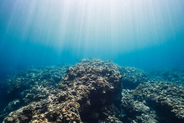 Sun Rays Illuminating a Tropical Coral Reef Under Crystal Clear Water © Satoshi
