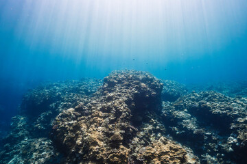 Sun Rays Illuminating a Tropical Coral Reef Under Crystal Clear Water © Satoshi