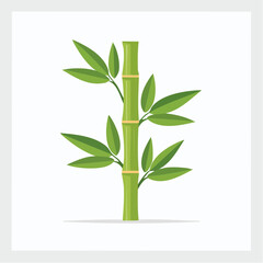 Fototapeta premium Bamboo stalk with green leaves isolated on white background isolated tropical