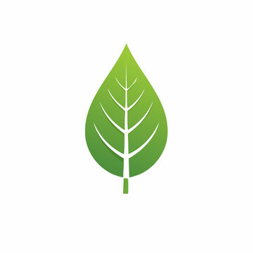 Simple green leaf icon isolated on white background representing nature