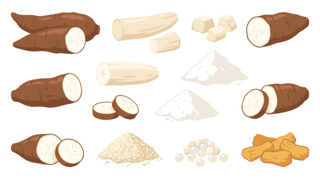 Set of cassava root, tapioca starch flour, and pearls, natural raw ingredient for cooking and baking, healthy starch food source and harvest