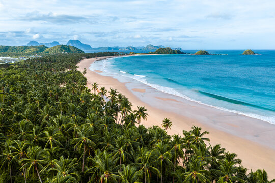 Aerial view of Nacpan beach with perfect sand and palm trees on the island of Palawan in the Philippines 