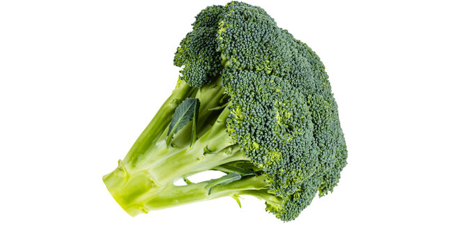 broccoli, broccoli head, fresh broccoli, broccoli png, green vegetable, healthy vegetable, organic broccoli, raw broccoli, nutritious food, cooking ingredient png on transparent background