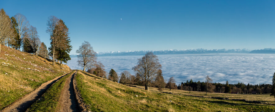 Les Alpes suisses vues du Jura