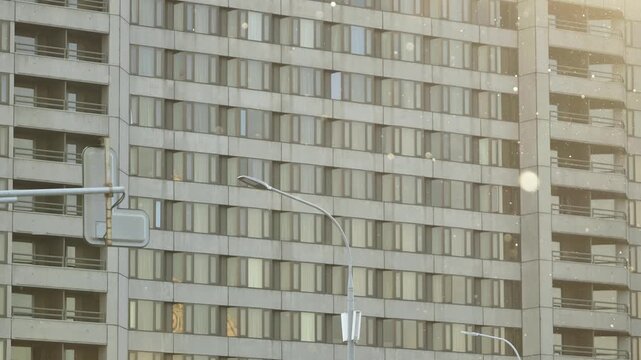 Tiny specks of poplar fluff float through the air against a backdrop of city buildings.