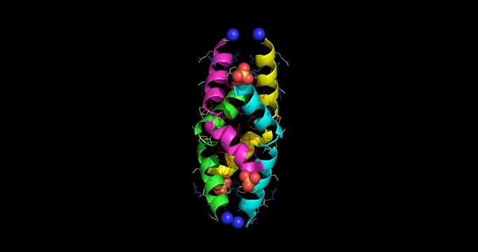 Melittin, honey bee venom toxin for anti-inflammatory /cell membrane research, 3D molecule spinning, 4K  