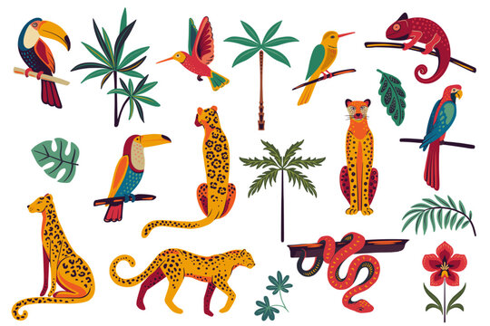 Vector set of wild animals, tropical plants and flowers, toucan, exotic birds