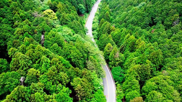 田舎の幹線道路を空撮　4K