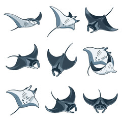 Fototapeta premium Collection of nine diverse manta ray illustrations showcasing graceful underwater swimming and unique patterns