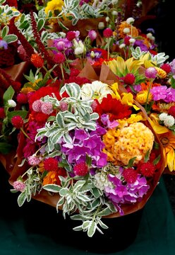 Bouquets of assorted colorful flowers