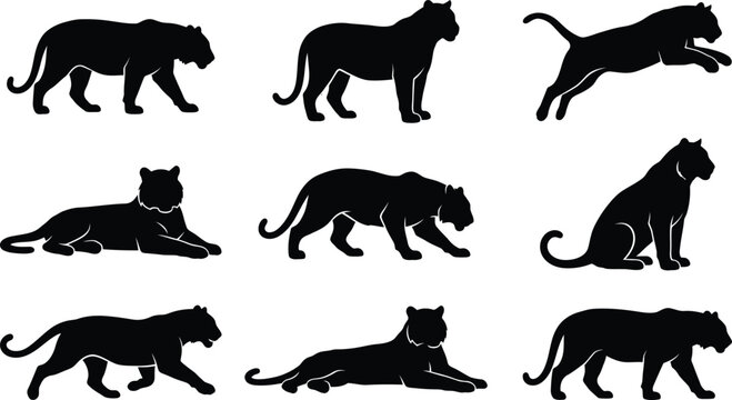 Set of black silhouettes of panthers and leopards in various poses isolated on a white background