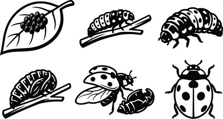 Vector line art set of leaf, branch, caterpillar, beetle, and ladybug insects in simple outlines © Royal Ability