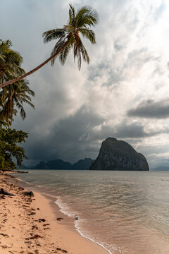 Tropical sand beach in the Philippines with palm trees and stormy back ground sky