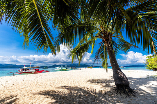 Tropical sand beach in the Philippines with palm trees and boats as a perfect holiday getaway