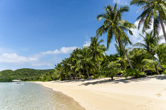 Tropical sand beach in the Philippines with palm trees as a perfect holiday getaway