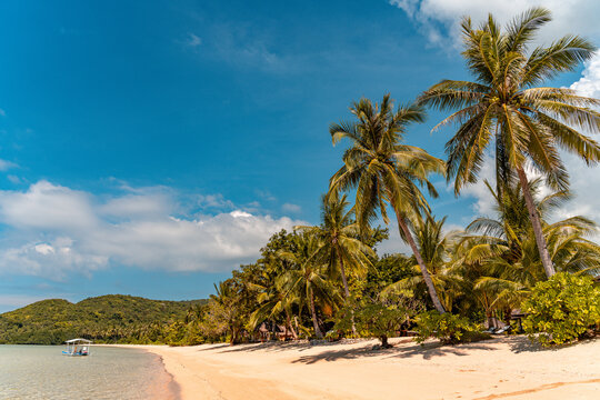 Tropical sand beach in the Philippines with palm trees as a perfect holiday getaway