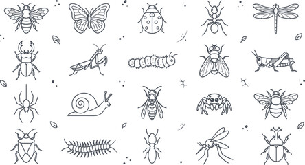 Garden insects and wild bugs line icon set with honey bee, butterfly, ladybug, spider, dragonfly, mantis, and beetle symbols for nature education biology.