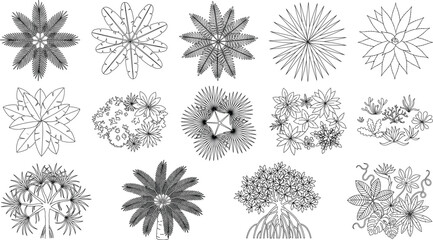 Obraz premium Hand Drawn Tropical Plant Top View Collection Vector Set with Botanical Landscape Plan Line Art Illustrations