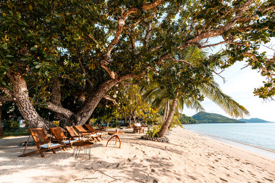 Tropical sand beach in the Philippines with palm trees as a perfect holiday getaway