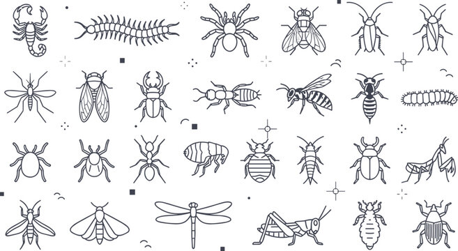 Common household insects and garden pests line icon set with spider scorpion cockroach mosquito bedbug ant wasp and beetle bug symbols for exterminator service.